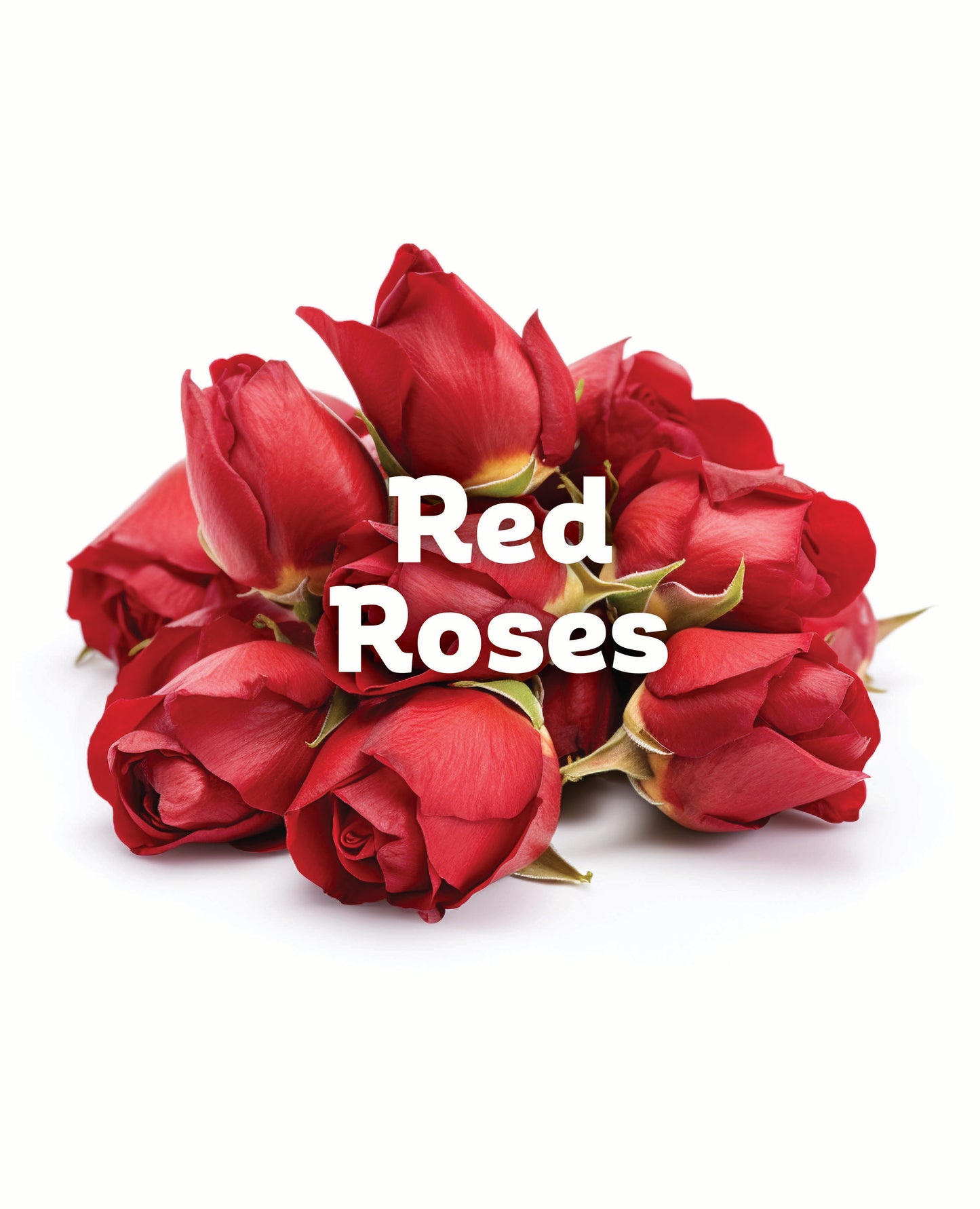 Red Roses Logs